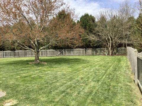 610 E Tomaras Ave, Savoy, IL 61874 photo 39