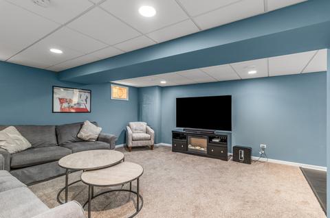 25411 Springview Ct, Plainfield, IL 60544 photo 25