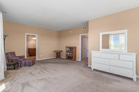 25411 Springview Ct, Plainfield, IL 60544 photo 16