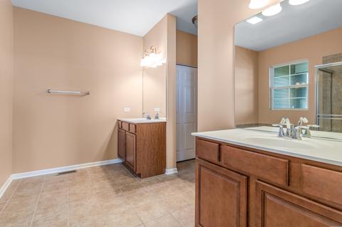 25411 Springview Ct, Plainfield, IL 60544 photo 18