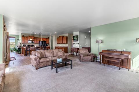 25411 Springview Ct, Plainfield, IL 60544 photo 11