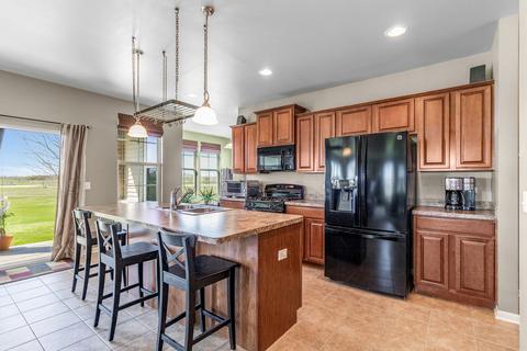 25411 Springview Ct, Plainfield, IL 60544 photo 9