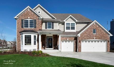 356 Shadow Hill Dr, Elgin, IL 60124 photo 31