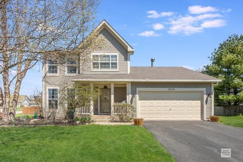 2310 Stacy Ct, Montgomery, IL 60538 photo 1