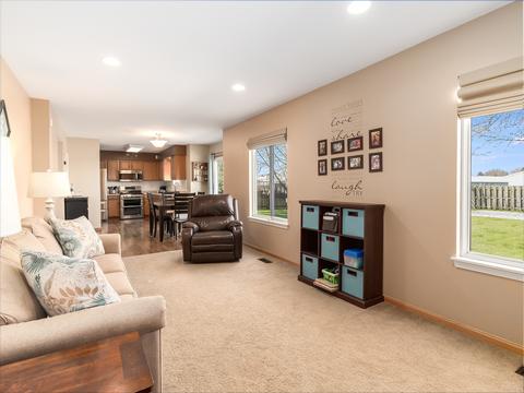 2507 River Bend Ln, Plainfield, IL 60586 photo 15