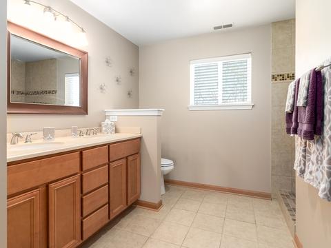 2507 River Bend Ln, Plainfield, IL 60586 photo 20