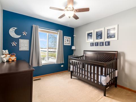 2507 River Bend Ln, Plainfield, IL 60586 photo 25