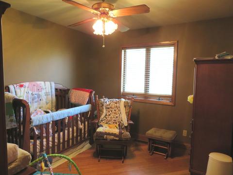 10685 Tabler Rd, Morris, IL 60450 photo 12