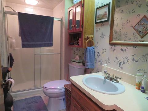 10685 Tabler Rd, Morris, IL 60450 photo 8