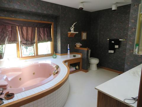 10685 Tabler Rd, Morris, IL 60450 photo 15