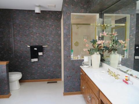 10685 Tabler Rd, Morris, IL 60450 photo 16