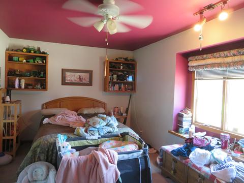 10685 Tabler Rd, Morris, IL 60450 photo 10