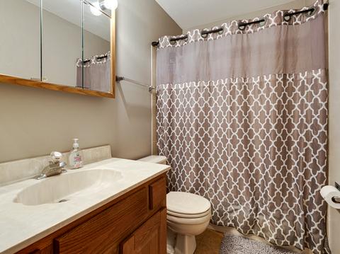 356 Bravo Ct, Bartlett, IL 60103 photo 14