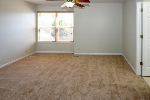 104 Neutrenton Ave, Elgin, IL 60120 photo 9