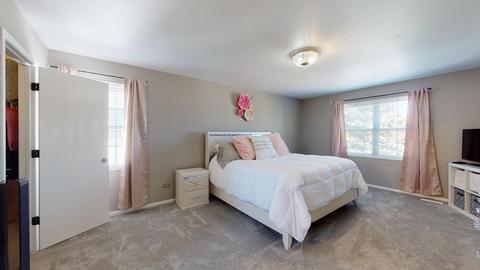 2217 Van Horn Ct, Plainfield, IL 60586 photo 16