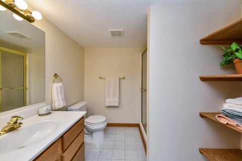 1344 Ada Ln, Naperville, IL 60540 photo 24
