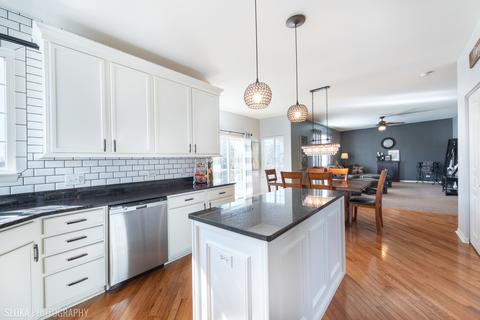 9673 Dover Ct, Huntley, IL 60142 photo 7