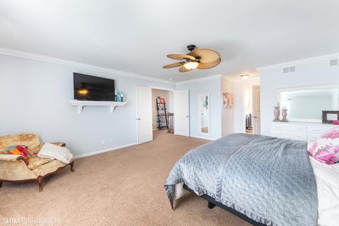 9673 Dover Ct, Huntley, IL 60142 photo 17