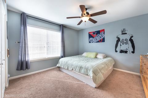 9673 Dover Ct, Huntley, IL 60142 photo 25
