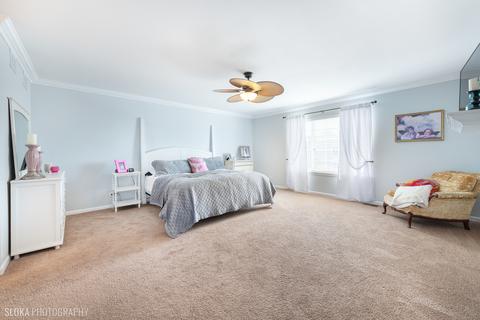 9673 Dover Ct, Huntley, IL 60142 photo 16