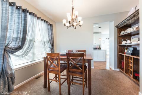 9673 Dover Ct, Huntley, IL 60142 photo 6