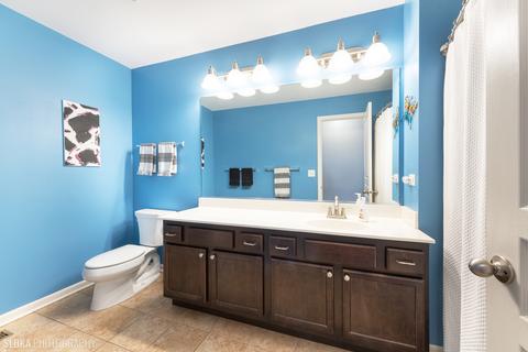 9673 Dover Ct, Huntley, IL 60142 photo 23