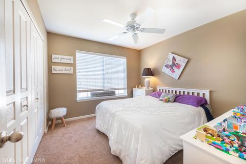 9673 Dover Ct, Huntley, IL 60142 photo 24