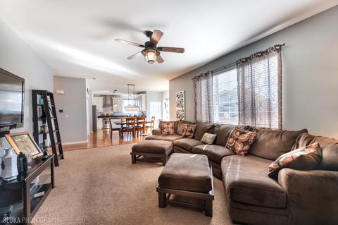 9673 Dover Ct, Huntley, IL 60142 photo 12