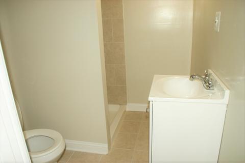 7938 S Trumbull Ave, Chicago, IL 60652 photo 33