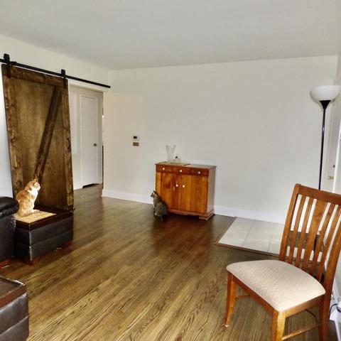 416 E Hilton Ave, Addison, IL 60101 photo 4