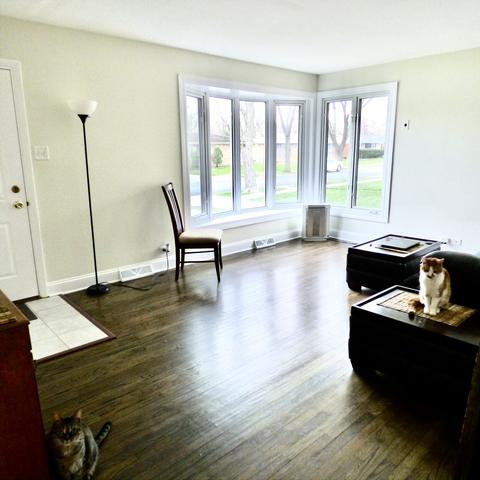 416 E Hilton Ave, Addison, IL 60101 photo 2