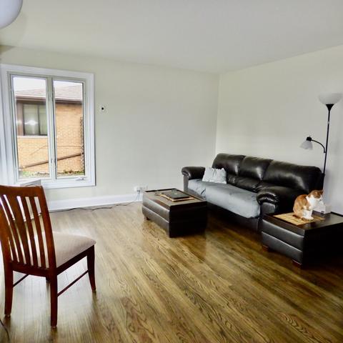 416 E Hilton Ave, Addison, IL 60101 photo 3