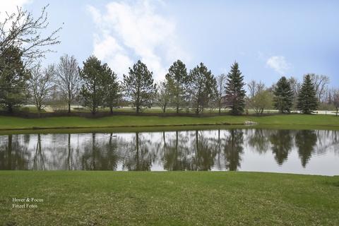 2303 Sandy Creek Dr, Algonquin, IL 60102 photo 18
