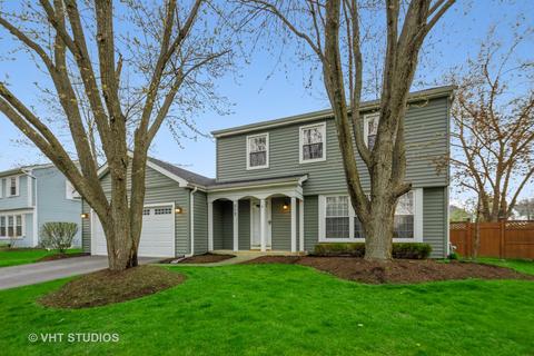 313 Saw Mill Rd, Naperville, IL 60565 photo 1