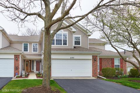 2103 Peach Tree Ln, Algonquin, IL 60102 photo 1