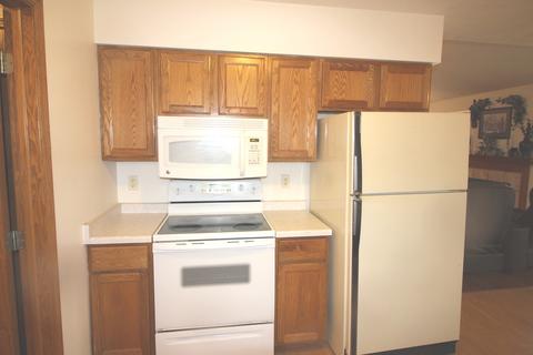 103 N Gadwall Ln, Downs, IL 61736 photo 20