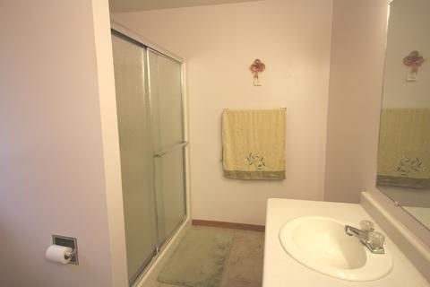 103 N Gadwall Ln, Downs, IL 61736 photo 19