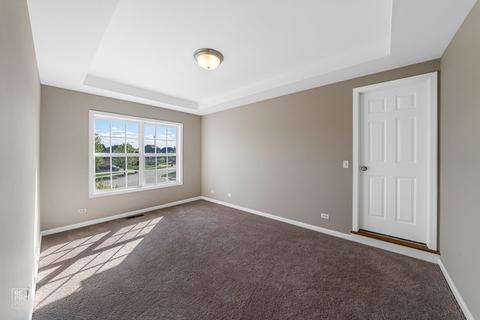 12851 Shenandoah Trl, Plainfield, IL 60585 photo 17