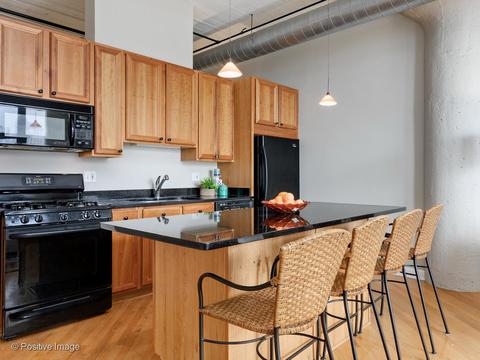 221 E Cullerton St #507, Chicago, IL 60616 photo 7