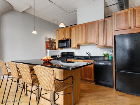 221 E Cullerton St #507, Chicago, IL 60616 photo 8