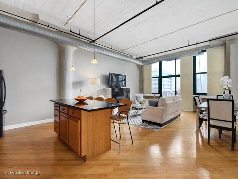 221 E Cullerton St #507, Chicago, IL 60616 photo 6
