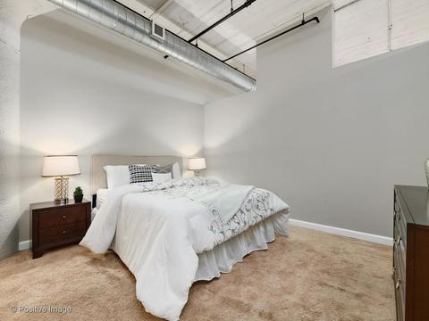 221 E Cullerton St #507, Chicago, IL 60616 photo 15