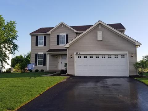 313 Tralee Ln, Mchenry, IL 60050 photo 1