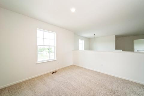 313 Tralee Ln, Mchenry, IL 60050 photo 5