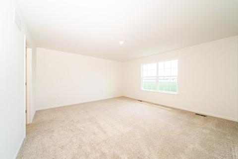 313 Tralee Ln, Mchenry, IL 60050 photo 6