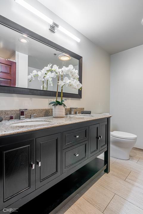 41 E 8th St #3501, Chicago, IL 60605 photo 16