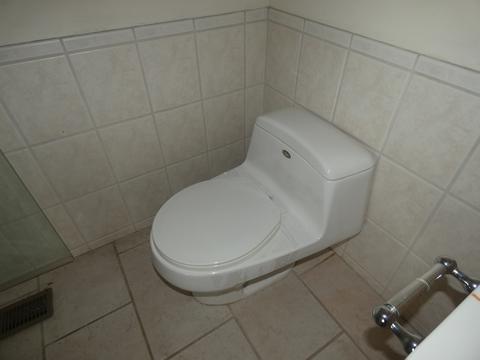 434 E Bowen Ave #A, Chicago, IL 60653 photo 10