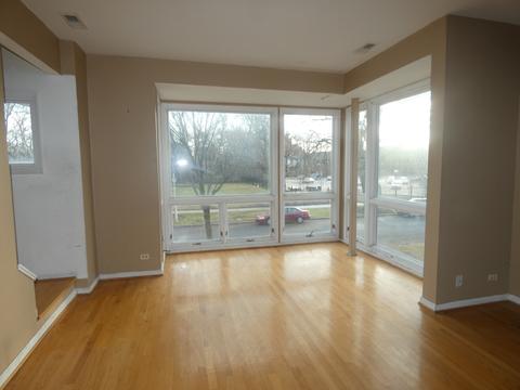 434 E Bowen Ave #A, Chicago, IL 60653 photo 14