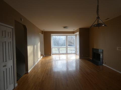 434 E Bowen Ave #A, Chicago, IL 60653 photo 4