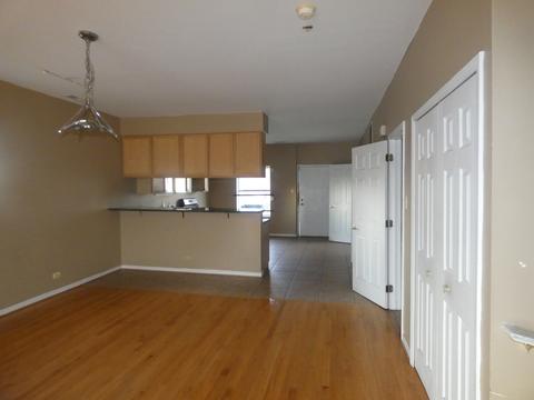 434 E Bowen Ave #A, Chicago, IL 60653 photo 15